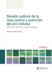 División judicial de la cosa común y extinción del pro indiviso vignette
