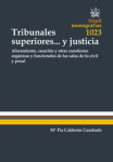 Tribunales superiores... y justicia vignette